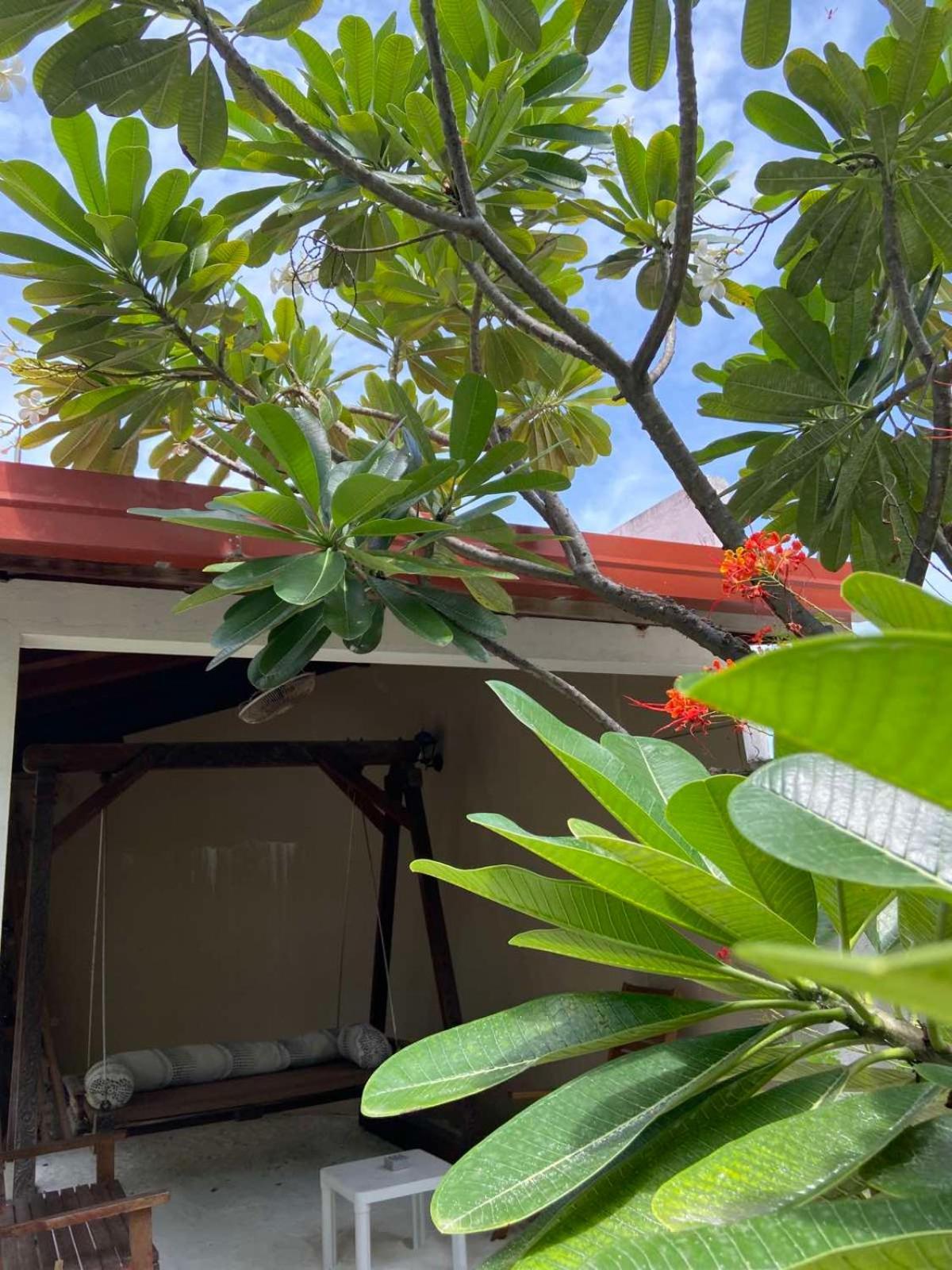ホテル セルリアン ビュー レジデンス Hanimaadhoo Island エクステリア 写真