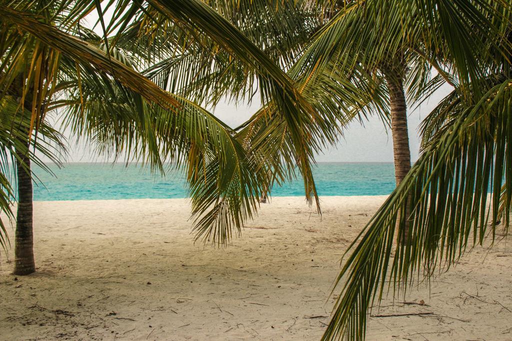 ホテル セルリアン ビュー レジデンス Hanimaadhoo Island エクステリア 写真